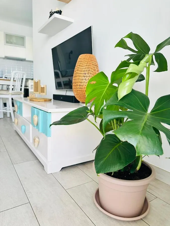 Apartamento Casa Adelfa Puerto del Carmen